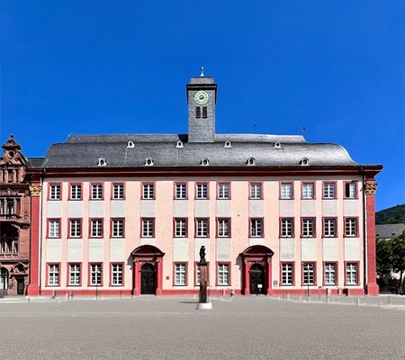 Heidelberg University Germany medical program for international students